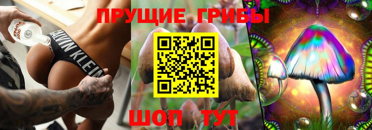 Галлюциногенные грибы Psilocybe  Вход с VPN  Нижневартовск 